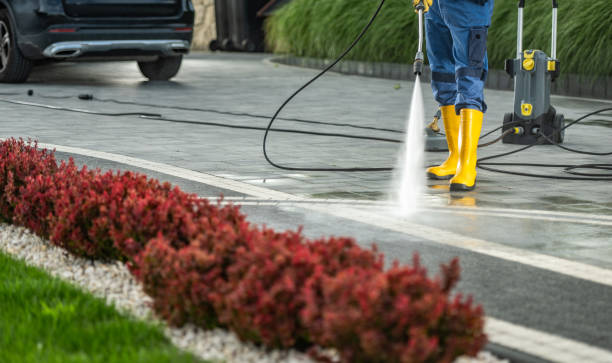 Best Affordable Pressure Washing  in Parkwood, WA
