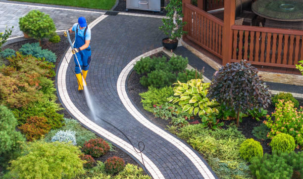 Best Roof Pressure Washing  in Parkwood, WA
